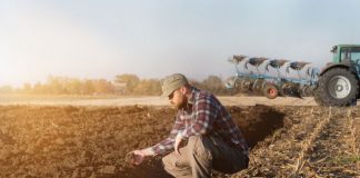 Sesiuni de instruire la DAJ Gorj pentru 34 de agricultori gorjeni