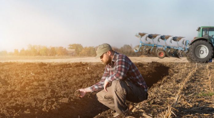 Sesiuni de instruire la DAJ Gorj pentru 34 de agricultori gorjeni