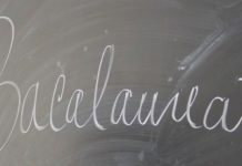 Rezultate slabe la Bac