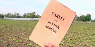 31 august 2020, termen limită pentru vizarea carnetelor de rentier agricol, la APIA Gorj