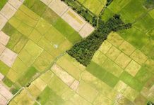 Eșantionul de control al fermierilor, restrâns față de campania din 2019