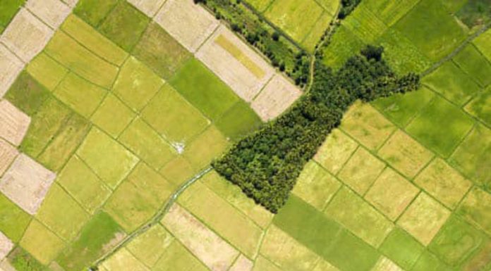 Eșantionul de control al fermierilor, restrâns față de campania din 2019