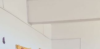 O nouă dezinsecție în orașul Rovinari