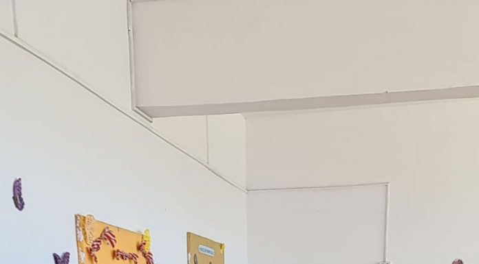 O nouă dezinsecție în orașul Rovinari