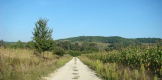 Drumul spre mănăstire, finalizat înainte de alegeri