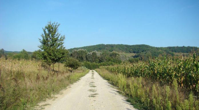 Drumul spre mănăstire, finalizat înainte de alegeri