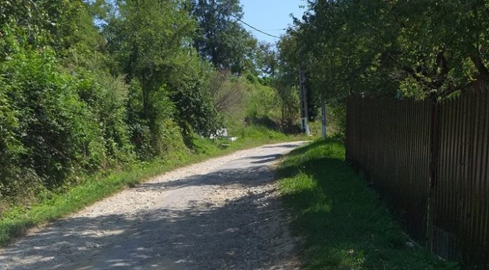 Drumul spre Casa Memorială Tudor Vladimirescu, în stare jalnică