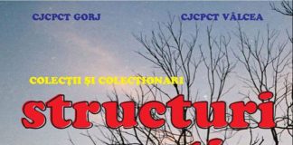 Lucrări de pictură și fotografie aparținând unor artiști gorjeni, în expoziție la Râmnicu-Vâlcea