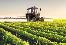 Peste 2.100 de fermieri din Gorj, verificați de echipele APIA