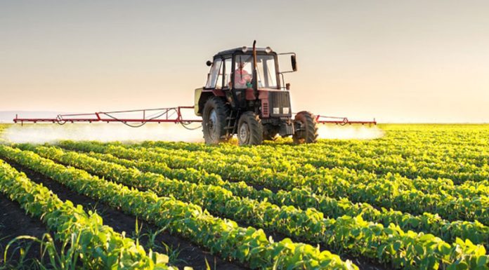 Peste 2.100 de fermieri din Gorj, verificați de echipele APIA