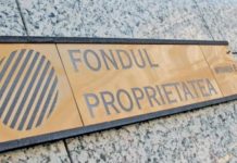 Pierdere însemnată pentru acționarul minoritar al CEO