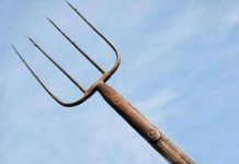 Mamă și fiu, atacați cu o furcă! Femeia a ajuns la spital cu ambele mâini rupte