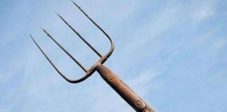 Mamă și fiu, atacați cu o furcă! Femeia a ajuns la spital cu ambele mâini rupte