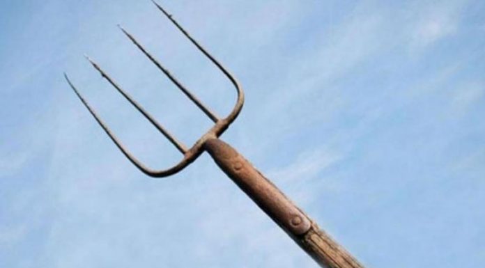 Mamă și fiu, atacați cu o furcă! Femeia a ajuns la spital cu ambele mâini rupte