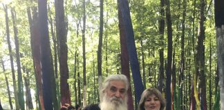 Pădurea Colorată – atracția turiștilor care vin pe Transalpina!