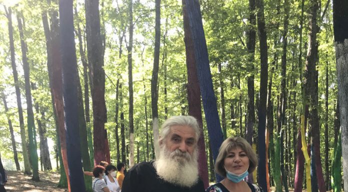 Pădurea Colorată – atracția turiștilor care vin pe Transalpina!