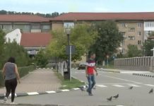 Gorjul se depopulează şi Europa se islamizează!