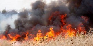 Protocol cu GNM și ISU: APIA Gorj trage un semnal de alarmă cu privire la interzicerea arderii miriștilor