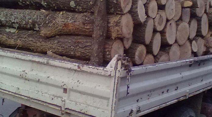 Amendat cu 10.000 de lei