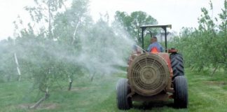 Noi reglementări fitosanitare pentru produsele vegetale