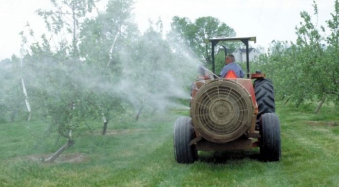 Noi reglementări fitosanitare pentru produsele vegetale