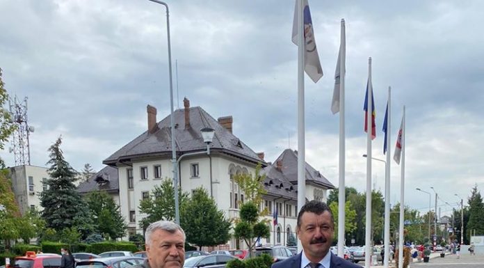 Rotaru și-a depus candidatura