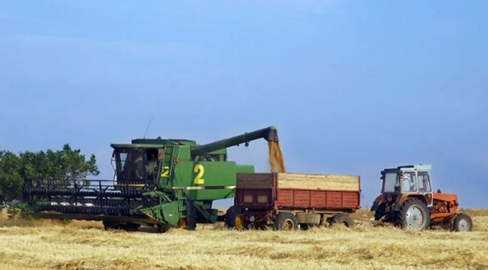 Agricultura pe înțelesul tuturor – Graficul lucrărilor agricole în luna august