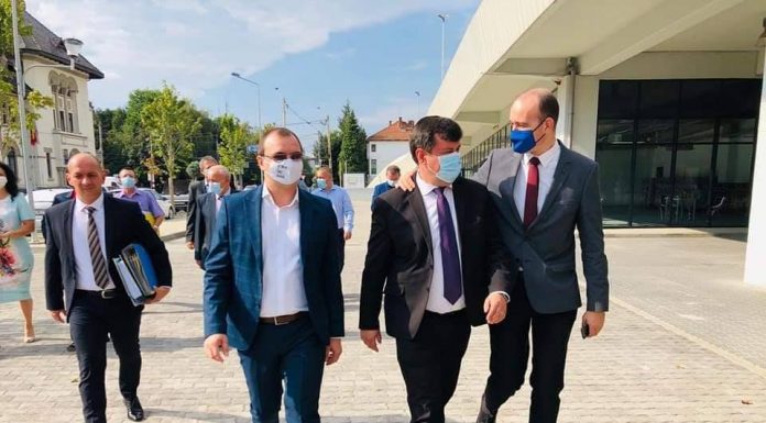 Romanescu, la depunerea candidaturii: Îmi doresc cel puțin 11 consilieri