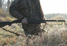 Dosar penal pe numele unui bărbat bănuit că a împuşcat doi câini