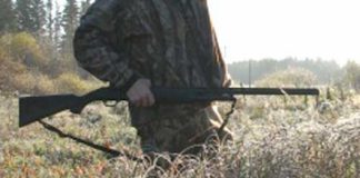 Dosar penal pe numele unui bărbat bănuit că a împuşcat doi câini