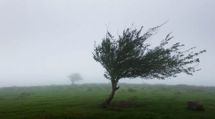 Agricultura pe înțelesul tuturor – PUȚINĂ AGROMETEOROLOGIE