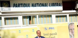 Vîlceanu: Vom câștiga alegerile locale