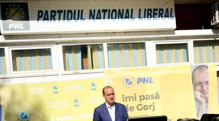 Vîlceanu: Vom câștiga alegerile locale