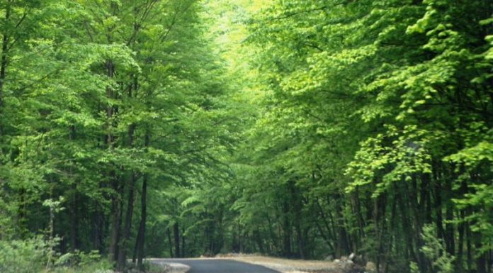 PE ŞUŞIŢA SEACĂ SPRE BORDUL DOBRIŢEI