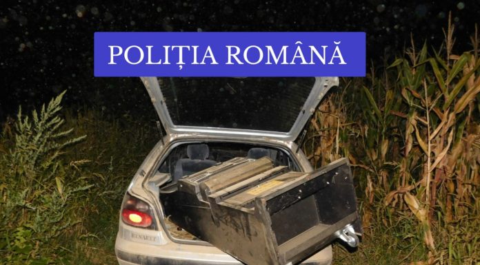 FOTO: A furat un aparat de jocuri de noroc cu bani cu tot