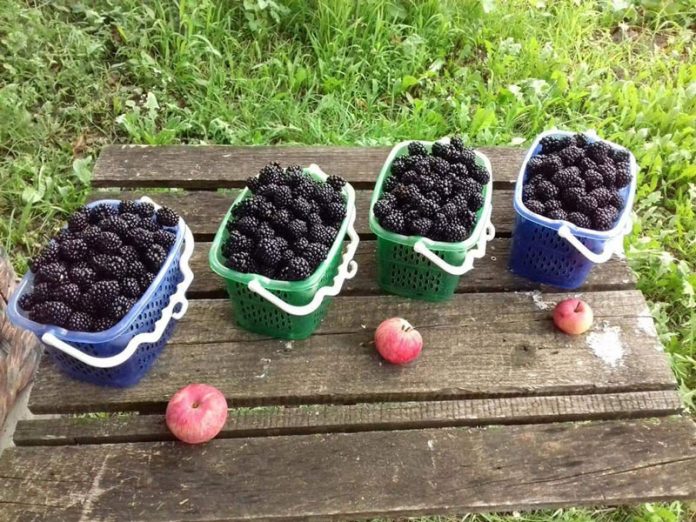 119261360_361794011661911_7294549738138047546_n