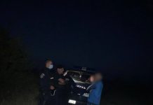 Amendat după ce și-a scos câinele la plimbare fără botniță și lesă