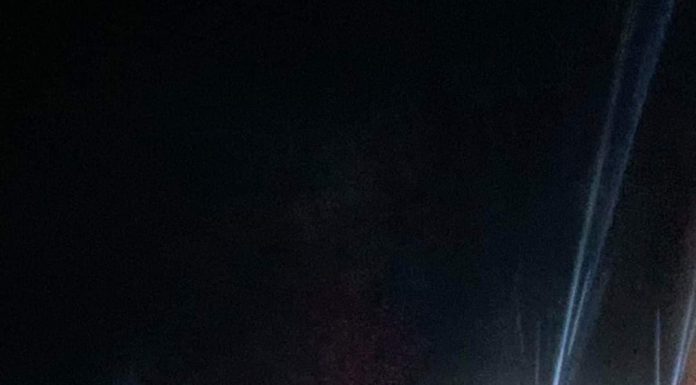 FOTO: Mistreț pe DN 66, un șofer nu l-a mai putut evita