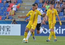 Probleme pentru Mirel Rădoi