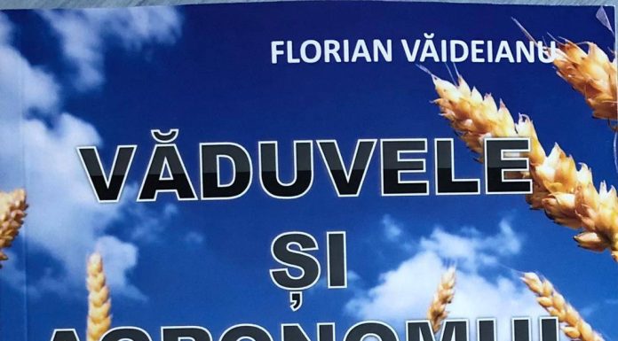 VĂDUVELE ȘI AGRONOMUL – Un roman de Florian Văideianu – Cronică literară –