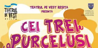 Stagiunea estivală a Teatrului ,,Elvira Godeanu”, aproape de final