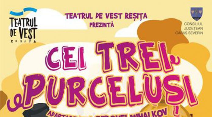 Stagiunea estivală a Teatrului ,,Elvira Godeanu”, aproape de final