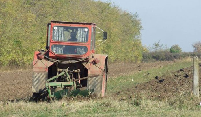 Abonament-Gorjeanul-2020
