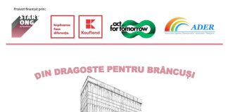 Proiectul ,,Din dragoste pentru Brâncuși” ia startul, la Târgu-Jiu