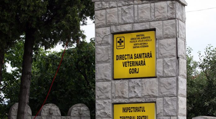 Amendă de 10.000 de lei pentru un restaurant din Gorj