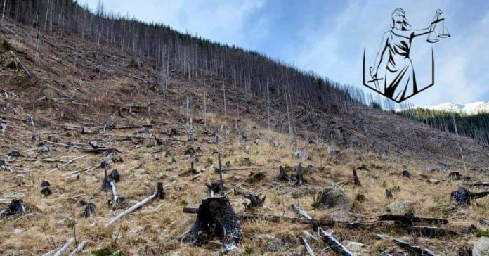 FB_IMG_1599907715925