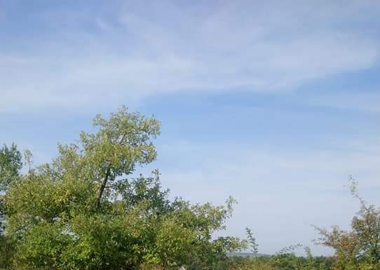 Deșeuri abandonate pe Dealul Târgului! Se lasă cu amenzi!