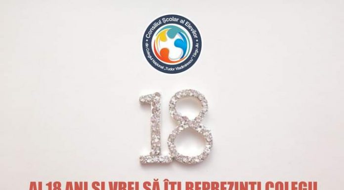 Elevii își aleg reprezentanții în consiliile de administrație ale școlilor