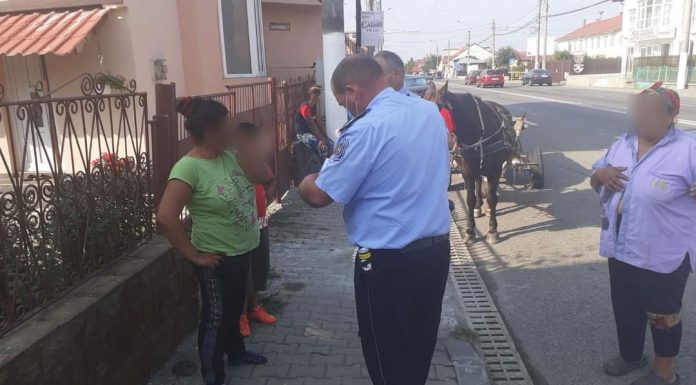 Proprietarul unui atelaj din Târgu Jiu, sancționat de agenții de la Locală