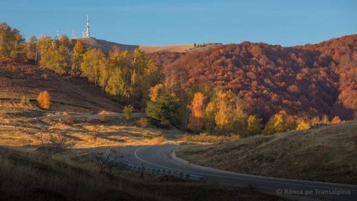 FB_IMG_1600436083396